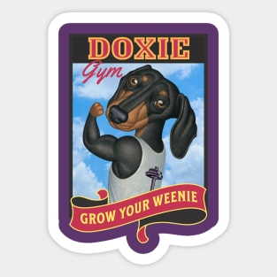 Fun dachshund in gym where you grow your weenie in red Sticker